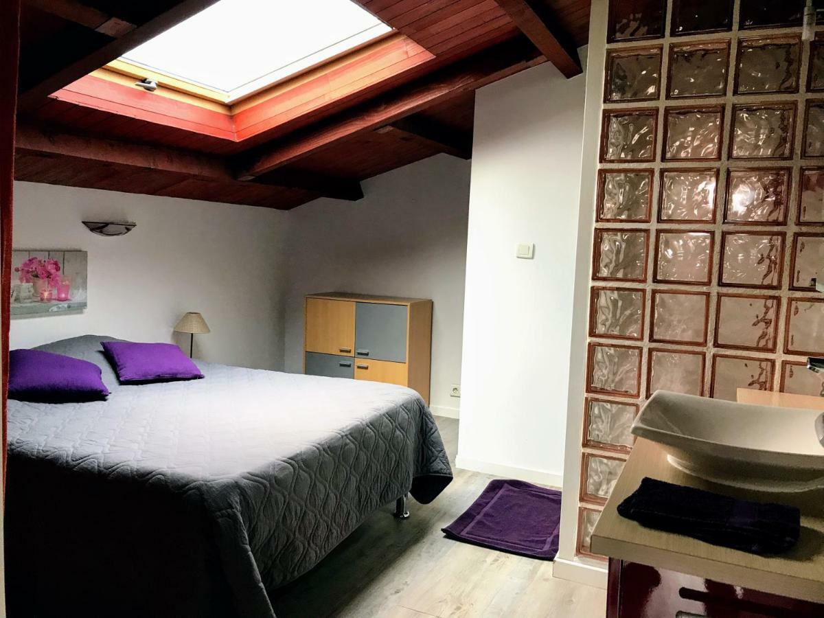 Appartement De Larmonys *
